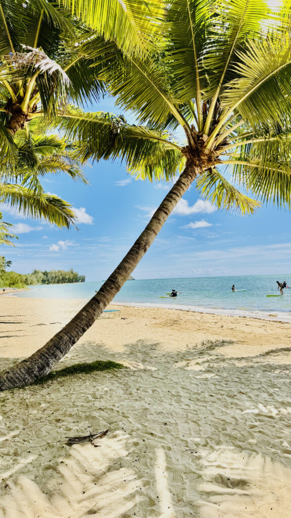 Scenic view of Hawaii Island featuring lush tropical landscapes, dramatic coastline, and Pacific Ocean views